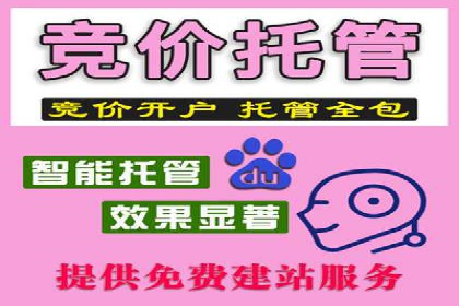 百度广告投放技巧及效果评估案例